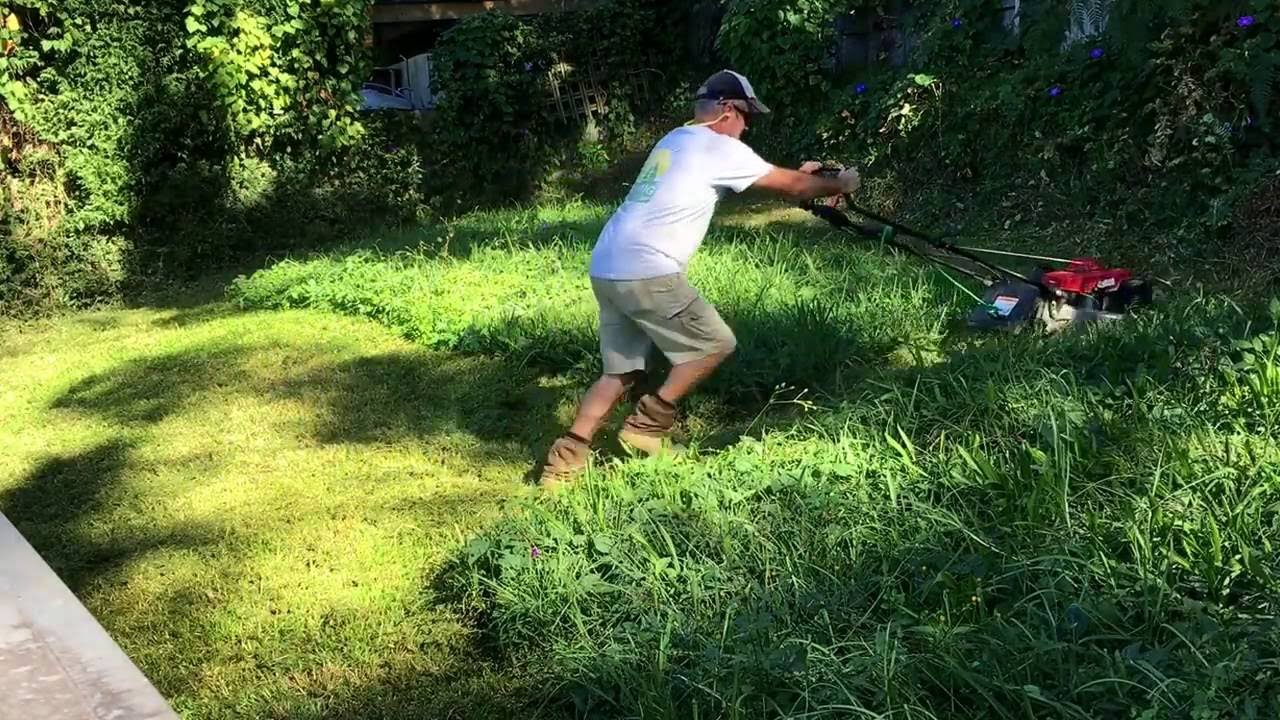 Truth Bomb Tuesday: Mowing grass when it gets too high